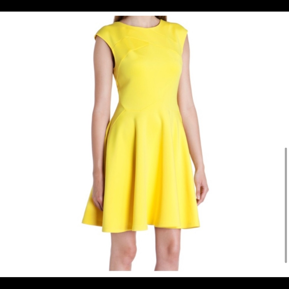Ted Baker yellow skater dress